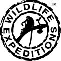 wildlife-expeditions.com